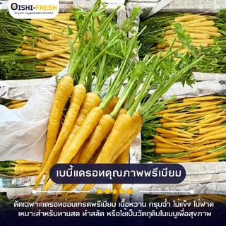 🛒Oishi-Fresh🥕เบบี้แครอท 3 สี ปลอดสารพิษ 1 กก. รสชาติกรอบ สด ใหม่ ใยอาหารสูง หวานออร์แกนิค ผัก เคลมได้ 1-2 วัน