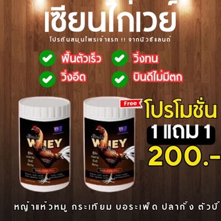 เซียนไก่เวย์โปรตีน บินดีไม่มีตก อึด ทน แรงดี บำรุ่งไก่ชน ของแท้