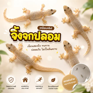 ASHIจิ้งจกปลอม จิ้งจกตาดำ เหมือนจริง รูปร่างและสีสันค่อนข้างจะเหมือนจิ้งจกจริง