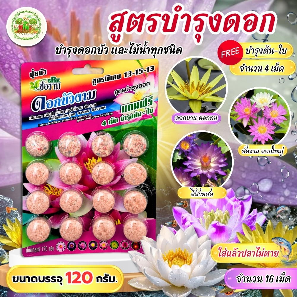 ปุ๋ยบัว ปุ๋ยบอนสี ปุ๋ยไม้น้ำ Golden Flowers 14 เม็ด มี2สูตร สูตรเร่งต้น และเร่งดอก #ปุ๋ยบัว #ปุ๋ยบอนสี #ปุ๋ยกล้วยไม้