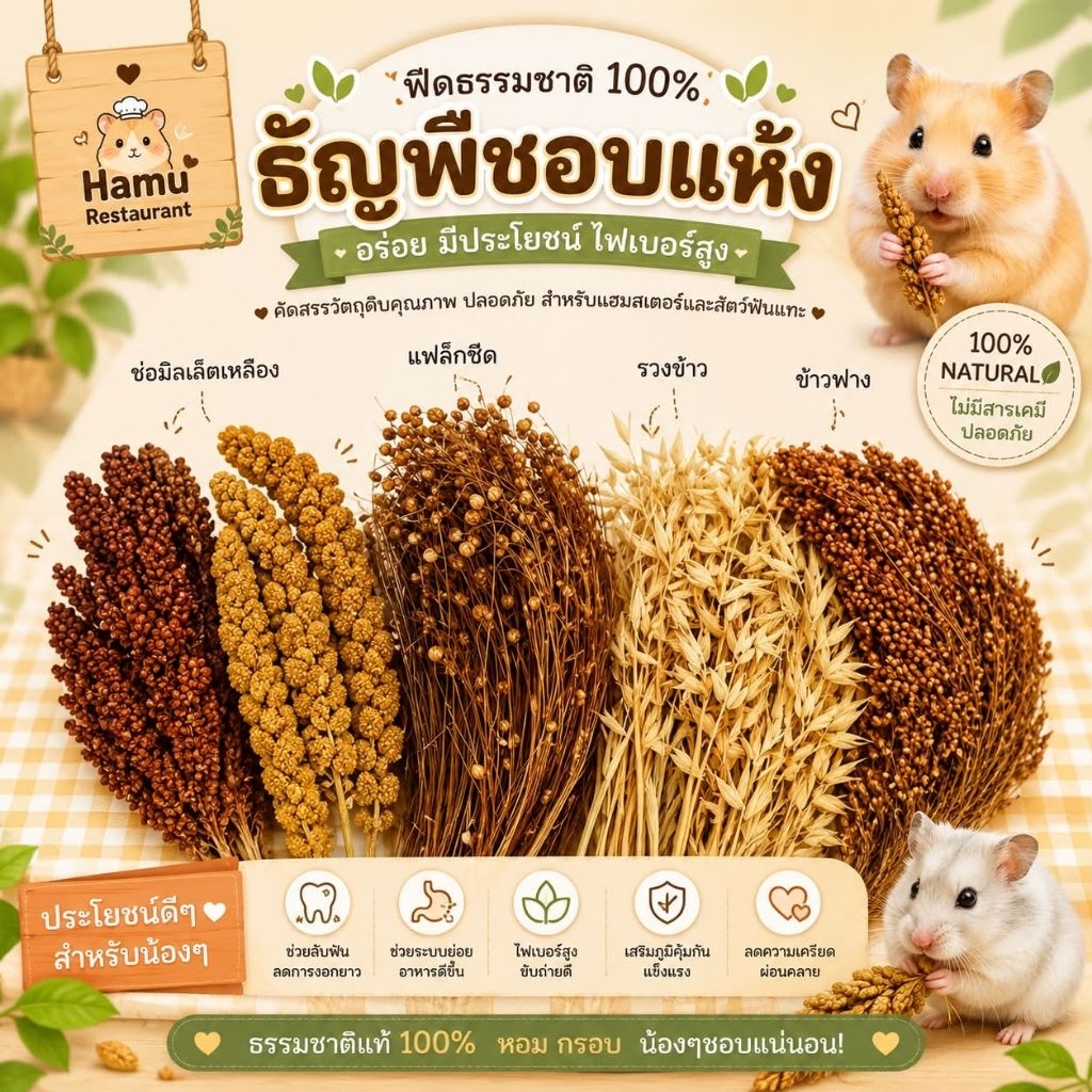 Hamu ❤️ขายดี ช่อธัญพืช รอบนี้ต้นสวย ดอกไม้แห้ง ช่อข้าวฟ่าง รวงข้าว แฟล็กซีด มิลเล็ตสเปรย์ สำหรับสัตว์ฟันแทะ แฮมสเตอร์ นก