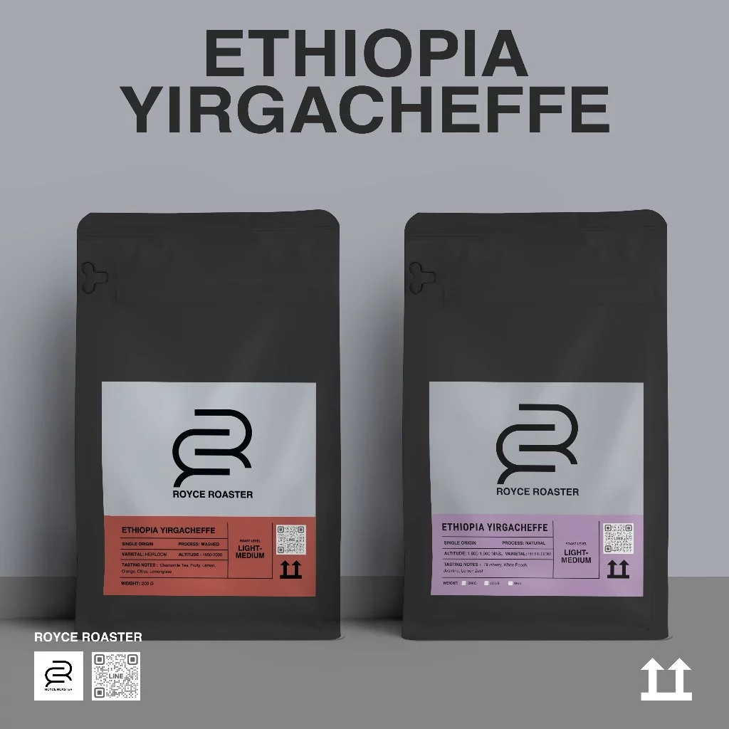 เมล็ดกาแฟ อาราบิก้า ETHIOPIA YIRGACHEFFE Royce Roaster
