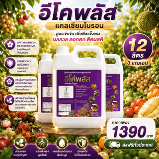 อีโค่พลัส แคลเซียมโบรอน (3แกลอน) เพิ่มการผสมเกสร ลดการหลุดร่วงของผล ลดปัญหาผลแตก (ขนาด4ลิตร 3แกลอน)