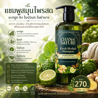 CHAN NATURE แชมพูสมุนไพรสด มะกรูด ขิง ใบบัวบก ใบย่านาง ลดผมร่วง คัน กระตุ้นผมงอกใหม่ ชะลอผมหงอก 300ml