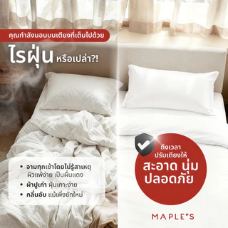 MAPLE'S ผ้าปูรัดมุม​ สําหรับผู้ชาย รุ่น BOLD 550-770เส้น กันไรฝุ่น 6-10นิ้ว bedsheet