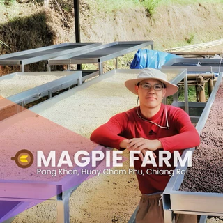 [ Strawberry Jam ] เมล็ดกาแฟคั่วอ่อน ปางขอน | Magpie Farm | Natural SCM | Omni Roast