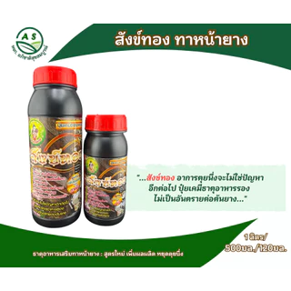 สังข์ทอง ขวดใหญ่ ยาทาหน้ายาง สูตรเข้มข้น สำหรับยางตายนึ่ง / ยางอายุ 15 ปี+ เพิ่มน้ำยาง ยางก้อน ยางพารา [3040]