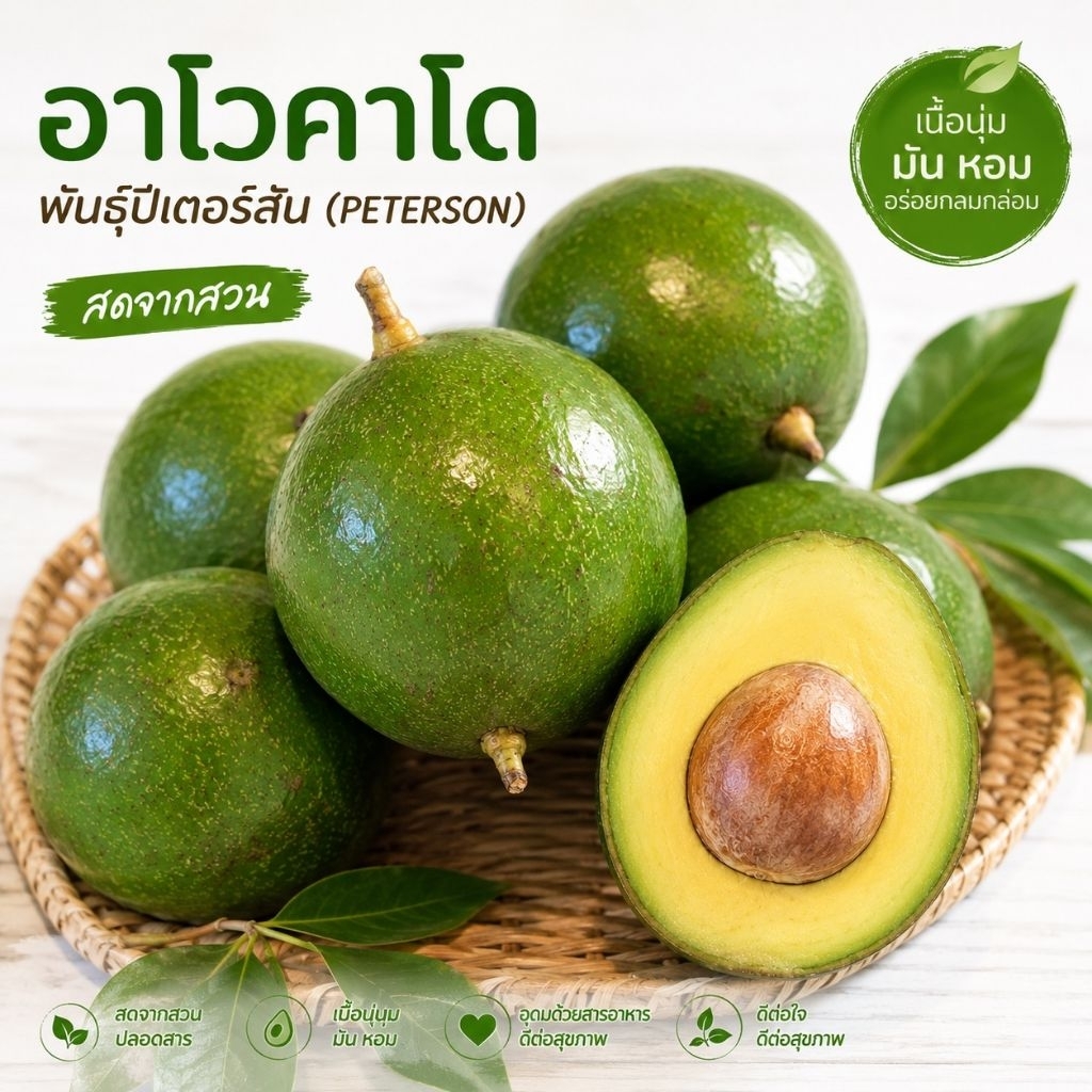 อะโวคาโดพันธุ์ปีเตอร์สัน ผลกลมเปลือกบาง