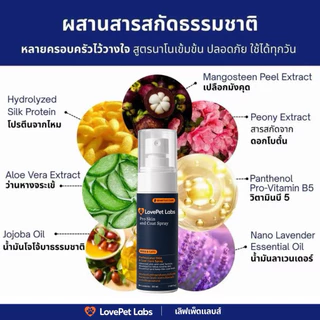 สเปรย์เชื้อราสุนัขและแมว ช่วยลดแบคทีเรีย ยีสต์ คันเกาผื่น แผล ผิวแดง ดับกลิ่นเหม็น สูตรนาโนเข้มข้น ส่งด่วน [50ml]