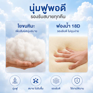 ที่นอนยางพาราแท้ 100% เพื่อสุขภาพ กระจายแรงกด ลดอาการปวดหลัง 3.5ฟุต 5ฟุต 6ฟุต ห้องนอน ห้องเช่า พร้อมส่ง