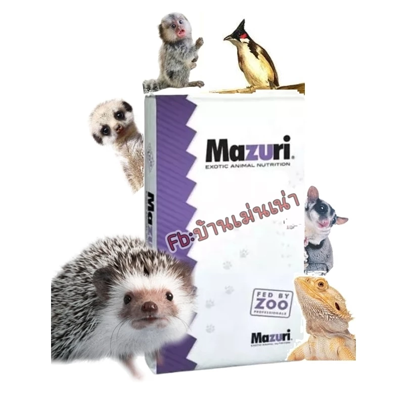 Mazuri(5M6C)EXP:12/2026 มาซูริ อาหารเม่นแคระ ชูก้าร์ ลิงมาโมเสท เบี๊ยดดราก้อน และสัตว์กินแมลงทุกชนิด