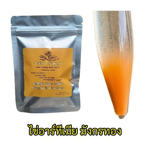 30 กรัม ไข่อาร์ทีเมีย มังกรทอง Gold dragon Artemia Cysts