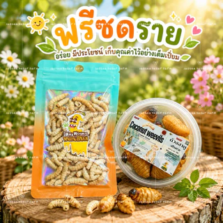 🥥🐛 ดวงสาคู หนอนแว๊กซ์ ด้วงมะพร้าว หนอนด้วง ฟรีซดราย ด้วงอบแห้ง สำหรับสัตว์เลี้ยง ชูการ์ กระรอก แฮมสเตอร์ บุชเบบี้