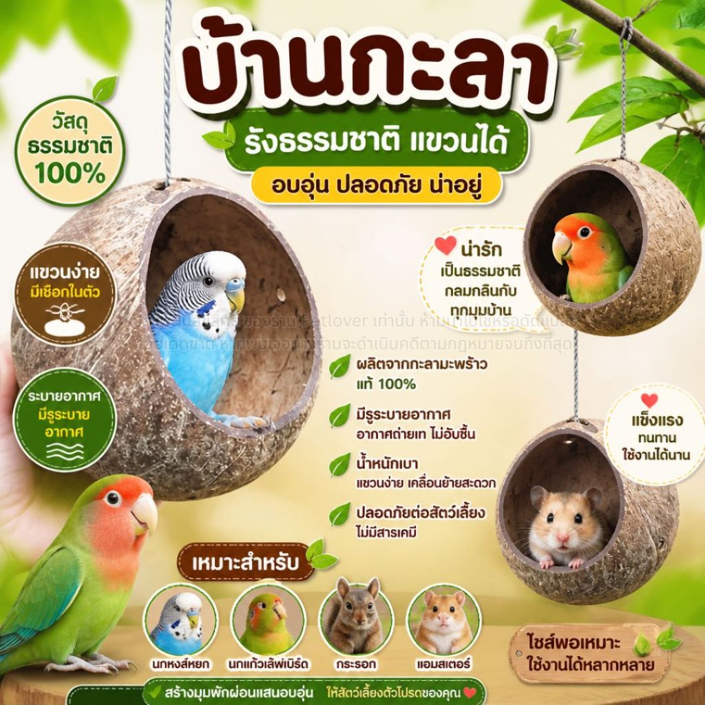 บ้านกะลา สำหรับ ชูก้าไรเดอร์ กระรอก กระแต มีที่แขวนด้านบน มีรูระบายอากาศ