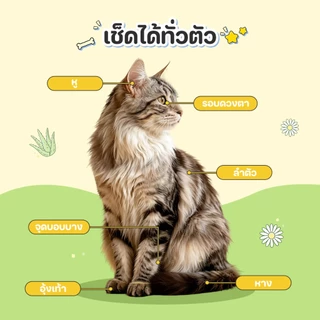 Meowgical🫧ถุงมืออาบน้ำแมว ถุงมืออาบน้ำสุนัข 2 ด้าน ซิลิโคน ผ้าลายนูน ทำความสะอาดล้ำลึก ขจัดขนหลุด Anti-Bacterial 10PCS