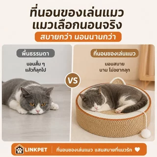 ฝนเล็บแมว ที่นอนของเล่นแมว ลับเล็บแมว กระดาษลูกฟูกความหนาแน่นสูง ทนต่อการสึกหรอ Trackless นาโนกาว