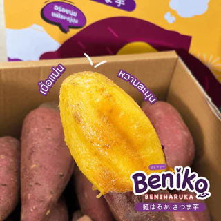 Beniko มันหวานญี่ปุ่น เบนิฮารุกะ ยกลัง 3 กก. (ไม่รวมกล่อง) สายพันธุ์ยอดนิยมจากญี่ปุ่น