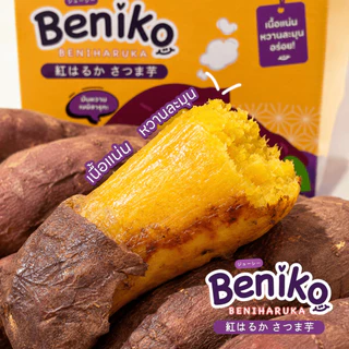 Beniko มันหวานญี่ปุ่น เบนิฮารุกะ ยกลัง 3 กก. (ไม่รวมกล่อง) สายพันธุ์ยอดนิยมจากญี่ปุ่น