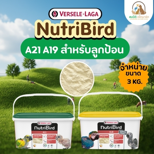 NutriBird A21/ A19 อาหารลูกป้อนนก 3KG.