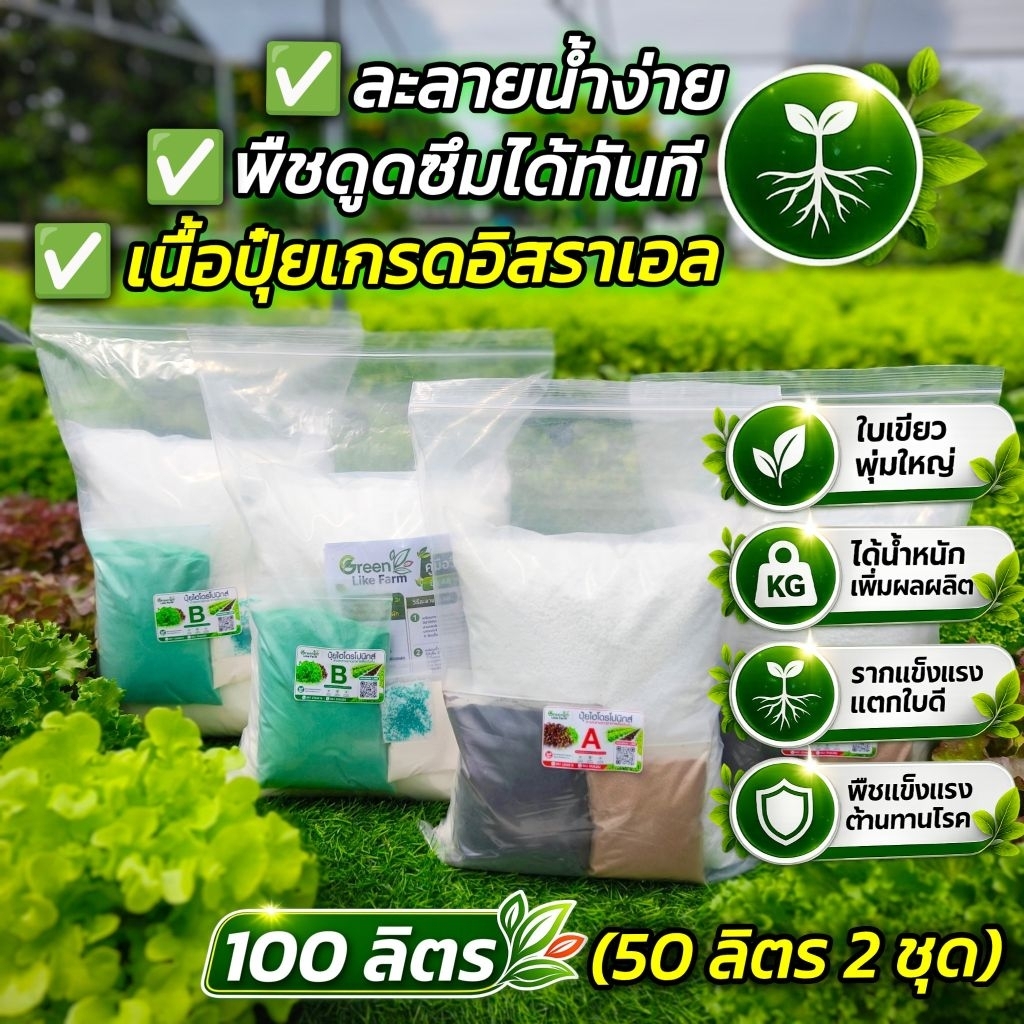 ปุ๋ยผักไฮโดรโปนิกส์ ปุ๋ย AB ผักสลัด เกรดเวสโก้ ชนิดเกล็ดผงขนาด 100 ลิตร (50 ลิตร 2 ชุด) พร้อมคู่มือการใช้งาน