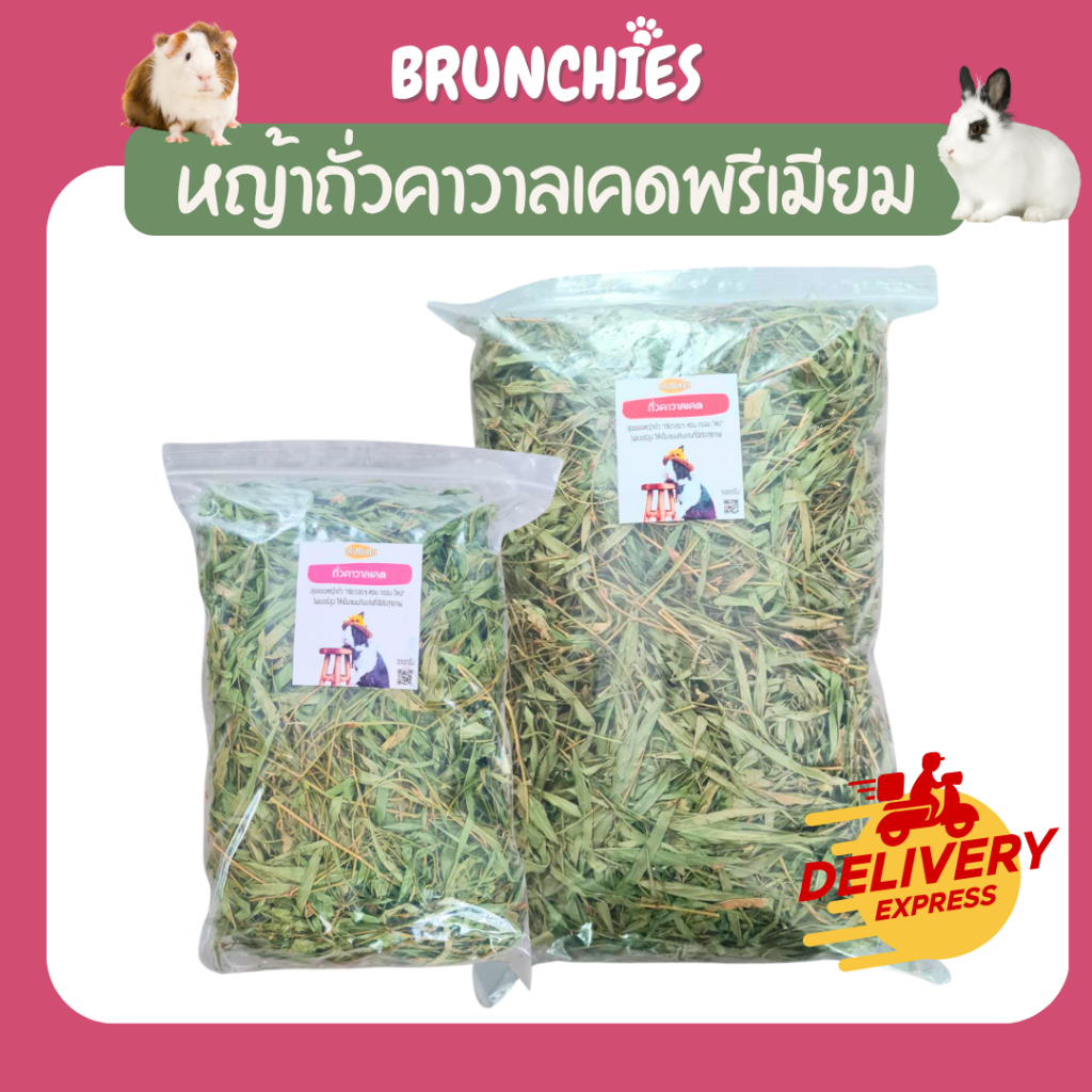 Brunchies หญ้าถั่วคาวาลเคดพรีเมียม (200g/500g) ขนมเพื่อสุขภาพสำหรับกระต่ายและแกสบี้ เขียว หอม กรอบ อร่อย