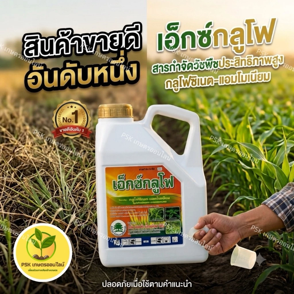 เอ็กซ์กลูโฟ 4 ลิตร กำจัดวัชพืชทั้งใบแคบและใบกว้าง ใช้ได้ทั่วไปในพื้นที่เกษตร