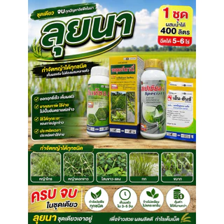 พร้อมส่ง** ชุดยาฆ่าหญ้าในนาข้าว “เฉียบขาด” ข้าวไม่แดงไม่งัน