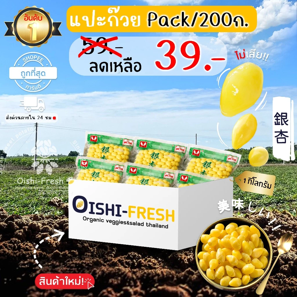 🛒Oishi-Fresh🥬แปะก๊วย ปลอดสารพิษ แพ็ค 200 ก. รสชาติกรอบ สด ใหม่ ใยอาหารสูง หวานออร์แกนิด ผัก เคลมได้ 1-2 วัน