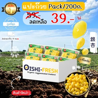 🛒Oishi-Fresh🥬แปะก๊วย ปลอดสารพิษ แพ็ค 200 ก. รสชาติกรอบ สด ใหม่ ใยอาหารสูง หวานออร์แกนิด ผัก เคลมได้ 1-2 วัน