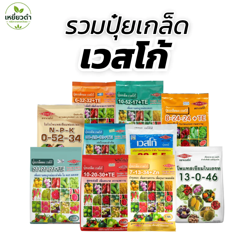 ปุ๋ยเกล็ด เวสโก้ ปุ๋ยเคมีละลายน้ำ สูตรเสมอ 21-21-21, 0-52-34, 8-24-24, 7-13-34 เร่งต้น เร่งดอก ทำหวาน ขนาด 1 กก.