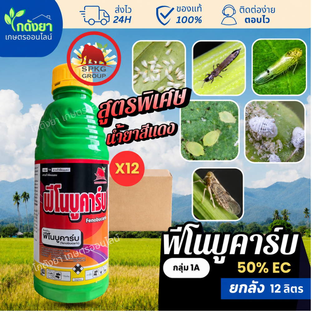ฟีโนบูคาร์บ ยกลัง (12ขวด) สูตรน้ำแดง ตรา แมมมอธแดง ยาน๊อคเร็ว ร่วงไว