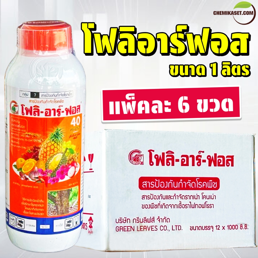 (แพ็ค 6 ขวด) โฟลิอาร์ฟอส ขนาด 1 ลิตร กรดฟอสโฟนิก ฝังเข็มทุเรียน กำจัดเชื้อรารากเน่า โคนเน่า ยอดเน่า