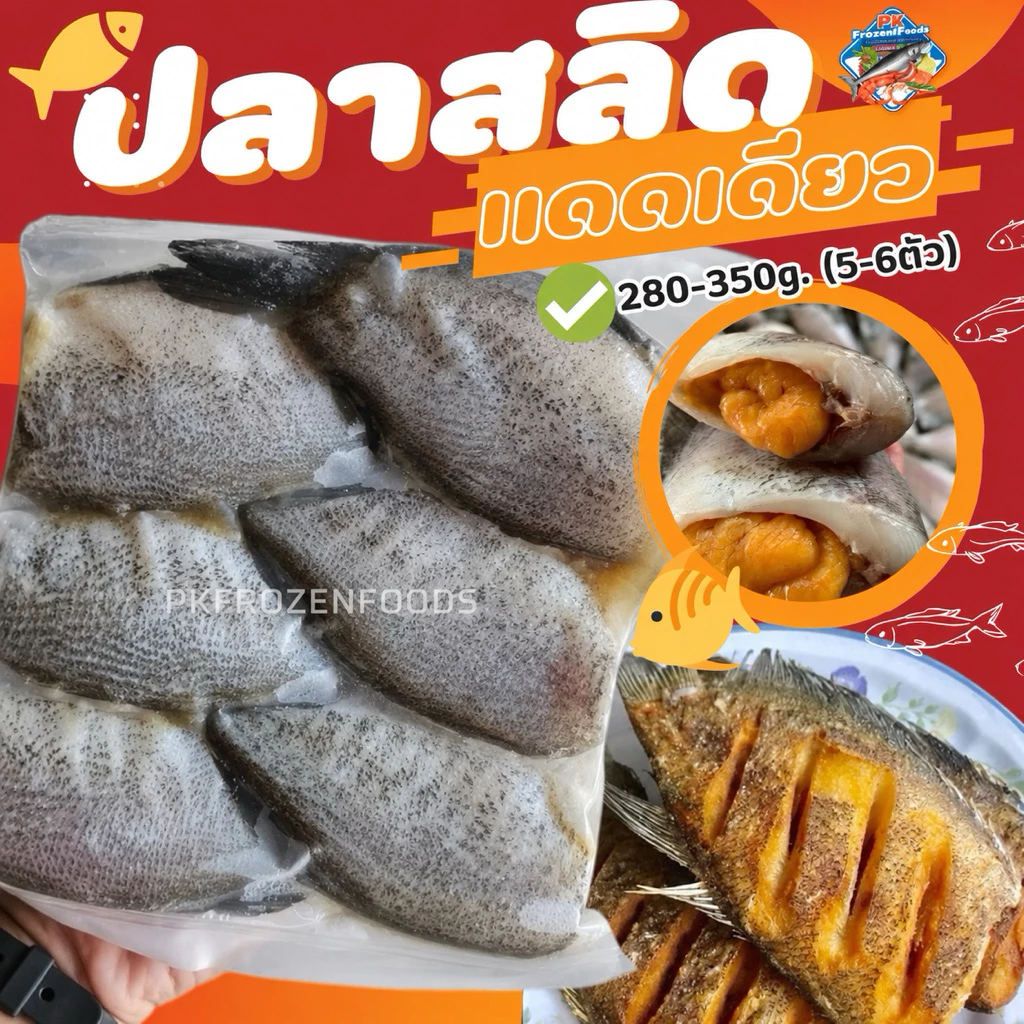 ปลาสลิดแดดเดียว ปลาสลิดหมักเค็ม ลอตนี้(280-350g....)5-6 ตัว⚡️ส่งด่วน🏆ขายดีอันดับ1🔥ค่าส่งแบบเหมา❗️🚚💨ส่งขนส่งแช่เย็น