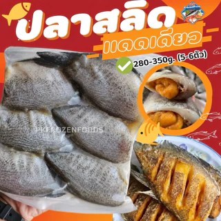 ปลาสลิดแดดเดียว ปลาสลิดหมักเค็ม ลอตนี้(280-350g....)5-6 ตัว⚡️ส่งด่วน🏆ขายดีอันดับ1🔥ค่าส่งแบบเหมา❗️🚚💨ส่งขนส่งแช่เย็น