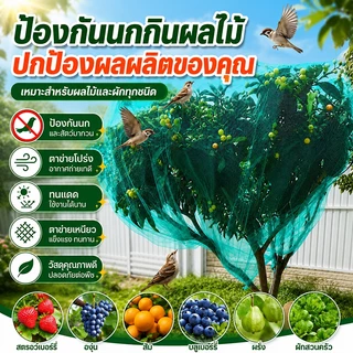 ตาข่ายล้อมไก่ 2x100M ตาข่ายกันนก ตาข่ายพลาสติกเกษตร กันนก กันไก่ ทำรั้วสวน แข็งแรง ทนแดด ตาข่ายล้อมสวน