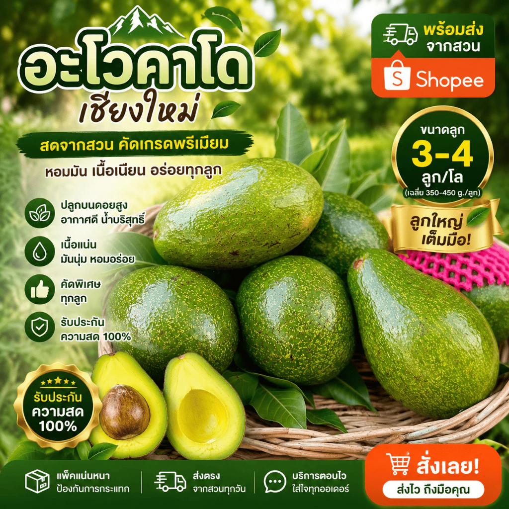 AVO DOI อโวคาโดสดจำนวน 1 กิโลกรัม ขนาด 3-4 ลูก จากเชียงใหม่