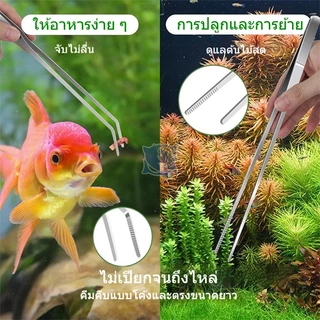 ครีบตรง ครีบงอ กรรไกร แหนบ ที่เกลี่ยดิน ชุดอุปกรณ์จัดตู้ไม้น้ำ Aquascaping Tools สแตนเลส กันสนิม