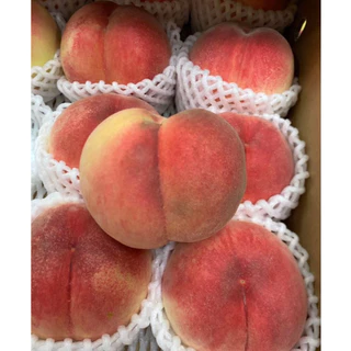 🍑 Premium Fukushima Peach - ลูกพีชญี่ปุ่นแท้ นำเข้าจากเมืองฟุกุชิมะ