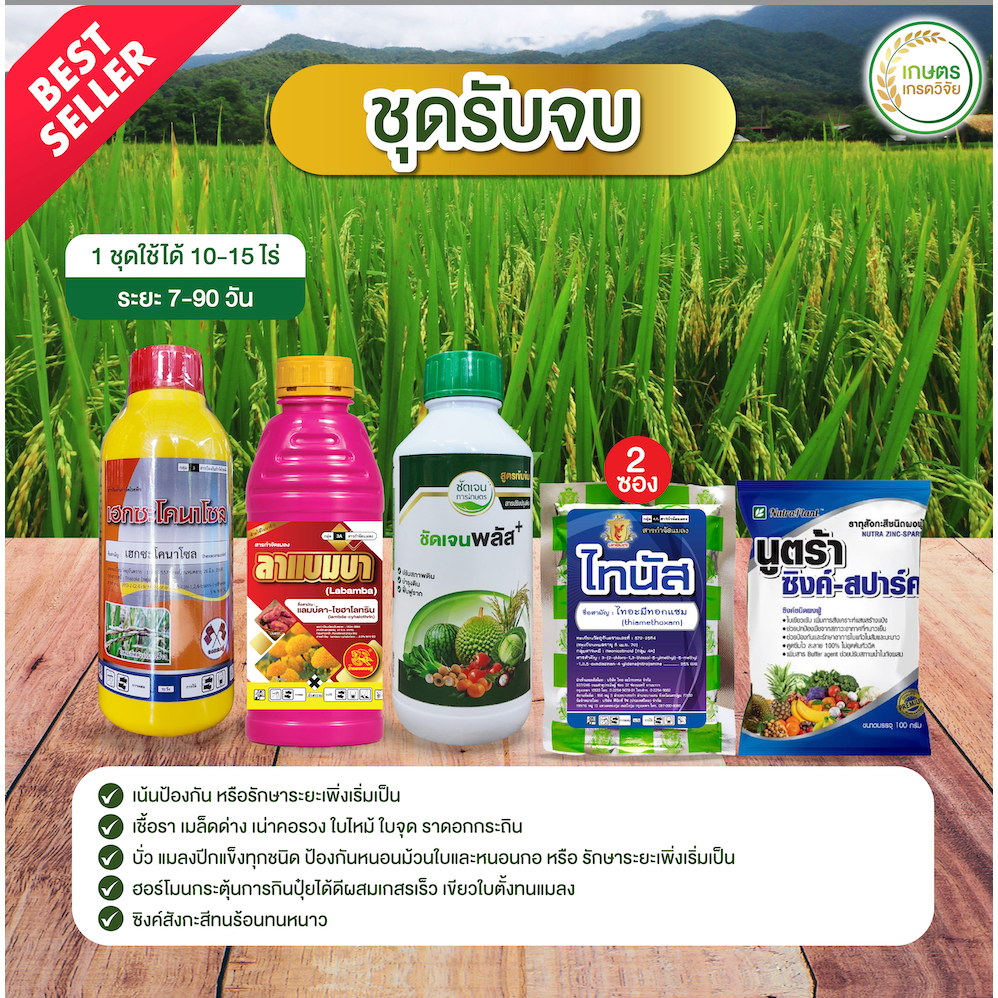 ชุดโคตรคุ้ม ครบจบในชุด 1 ชุดใช้ได้ 15 ไร่ ยา 5 ตัว ใช้ช่วงข้าวเล็กตลอดจนรับท้อง