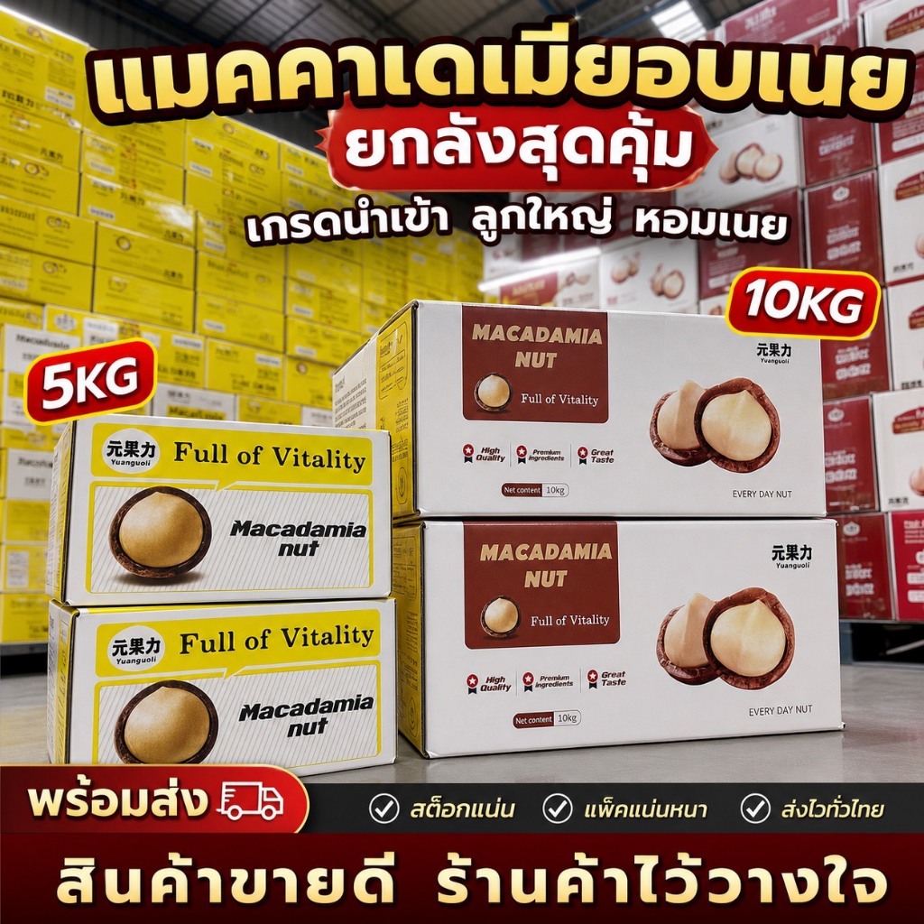 แมคคาเดเมียกล่องใหญ่ยกกิโลขนาด 5-10กิโลกรัม เกรดนำเข้า คุณภาพดี เม็ดใหญ่ อบเนย หอมเนย เคี้ยวเพลิน (แถมที่แกะ)