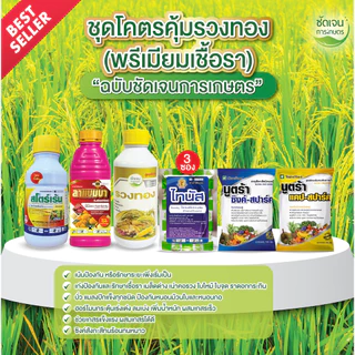 ชุดโคตรคุ้มรวงทอง (พรีเมียมเชื้อรา)+สโตร์เร้น ข้าวระยะรับท้อง รับรวงและไล่ก้ม ป้องกันและเก่งเชื้อรา ทุกชนิด ครอบคลุม