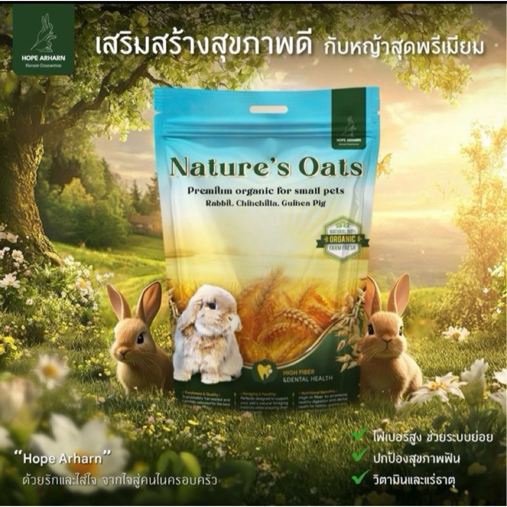 🌾 Nature’s Oat – หญ้าโอ้ตเกรดพรีเมี่ยม 500g🌾