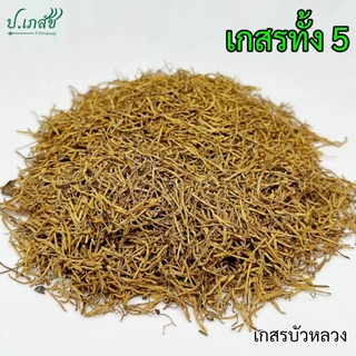 เกสรทั้ง 5 [50 / 100 กรัม] เบญจเกสร : เกสรบัวหลวง สารภี พิกุล บุนนาค มะลิ