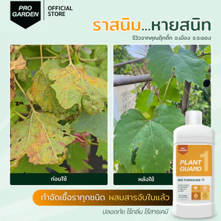 ProGarden ป้องกันและกำจัดเชื้อรา (ชนิดผสมน้ำ) ราใบจุด ราน้ำค้าง สารสกัดธรรมชาติ ไร้กลิ่น ไร้สารเคมี กับพืชทุกชนิด
