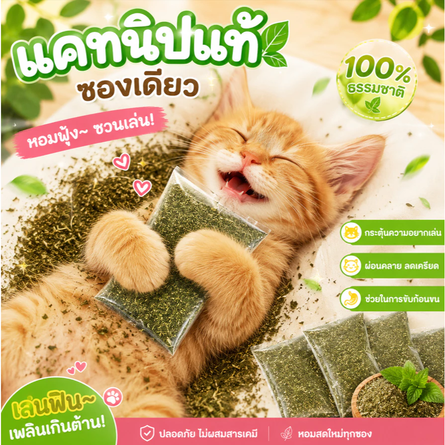 🌿 TCS แคทนิปอบแห้ง 2 กรัม 🐱 ซองแคทนิปแท้ 100% หญ้าแมวอบแห้ง กระตุ้นการเล่น ผ่อนคลาย ลดความเครียด สำหรับแมวทุกสายพันธุ์ 💚