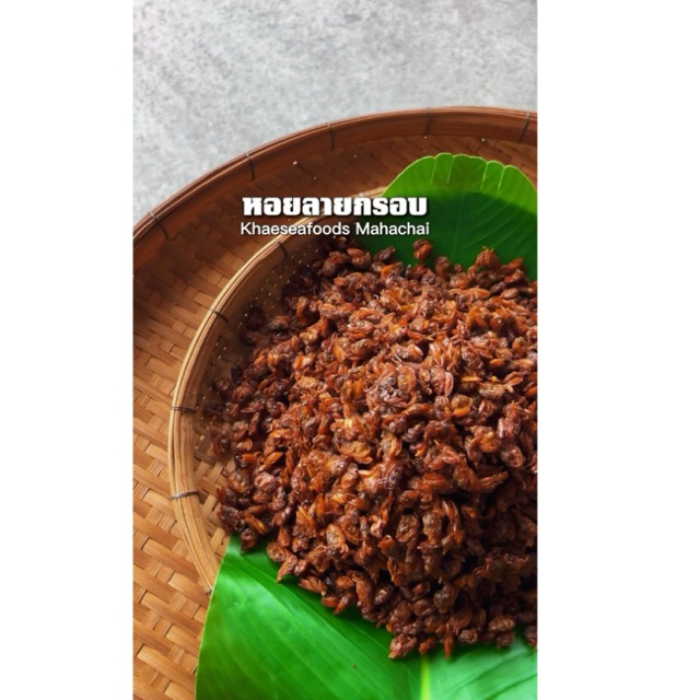 หอยลายกรอบ รสเด็ด น้ำหนัก 500 กรัม /ร้านแม่แขทะเลแห้ง /จัดส่งหอยลายกรอบ ครึ่งโล/