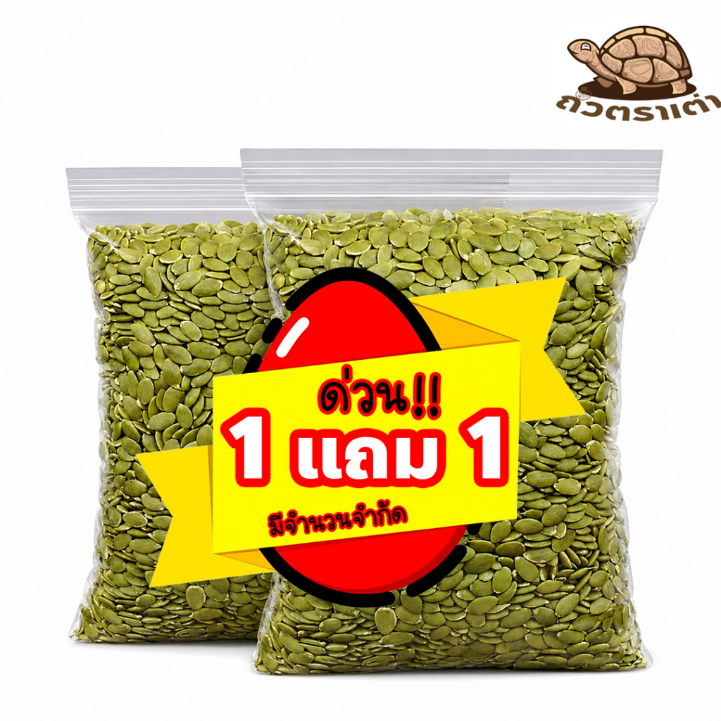 [โปร 1 แถม 1] เมล็ดฟักทองอบ 500 กรัม (250 กรัม x 2) | Roasted Pumpkin Seeds | เมล็ดใหญ่ กรอบ มัน หอม | พร้อมทาน