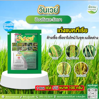 วันเวย์ 100g. จำนวนพื้นที่เยอะ ป้องกันกำจัดโรคพืชที่เกิดจากเชื้อรา ไวรัส และเเบคทีเรีย สูตรยาเย็น 1 ซอง 5 ไร่