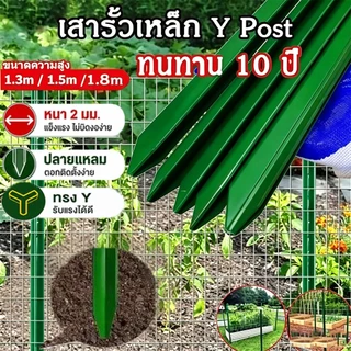 เสารั้วเหล็ก (10 ชิ้น) Y Post (ความสูง 1.3m 1.5m 1.8m) เสารั้วเหล็กหนา เสารั้วเหล็กหล่อสามเหลี่ยม เสารั้วเหล็กหล่อสามเหล