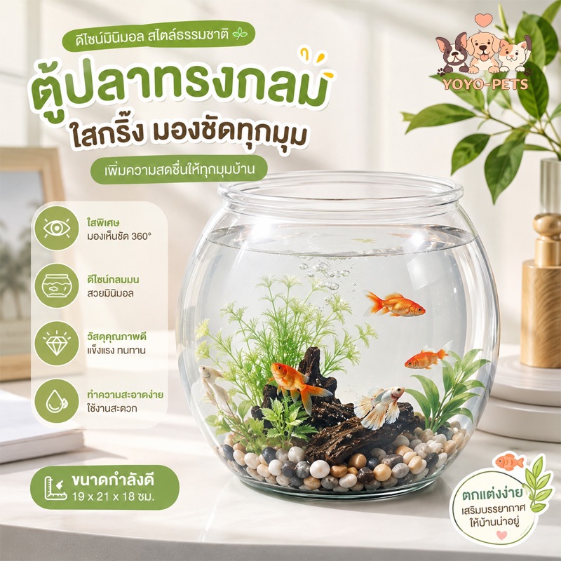 ตู้ปลาทอง ตู้ปลาขนาดเล็ก อ่างปลา ตู้ปลา